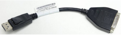 DisplayPort/DVI-D Single Link átalakító 20 cm - Lenovo